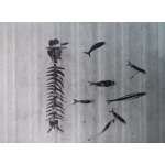 35_-_aguatinta_49_x_66_cm_papel_superalfa_76_x_56_cm_11_700__colgado_gjm_b_36_476185368