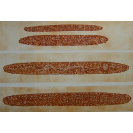 41_-_aguafuerte_y_aguatinta_68_x_46_cm_papel_superalfa_76_x_55_cm_pa_600__colgado_b_43